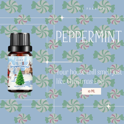 Christmas Spices - 6 Aromatherapy fragrance oils set