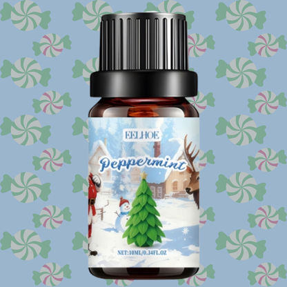 Christmas Spices - 6 Aromatherapy fragrance oils set